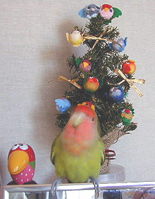 �ӂ����˂������A�����[�N���X�}�X������I