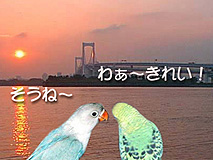 ��̂����Ɨ[���𒭂߂āB