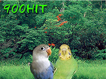 ��������̂g�o�łX�O�O�g�h�s�I