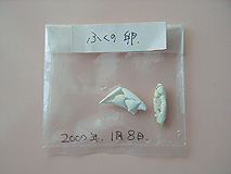 �ӂ��̍ŏ��̗�