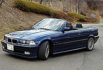 �ӂ������P��