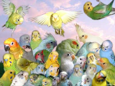 ��������g�o�̂��F�B�ƁB