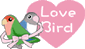  Love Bird Love Love 