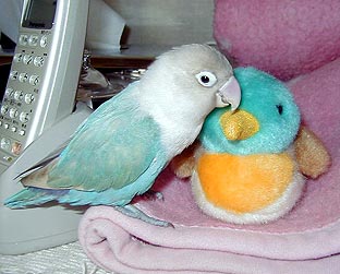 �������̔ގ���˂��A���Ђ邿����