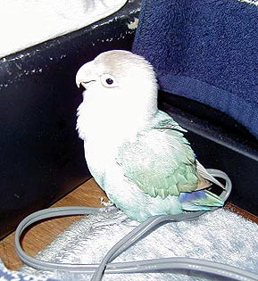 ���̌��ԁA�ǂ��ꂿ�������患�B�B�B