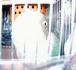 ���[�񂤁[��B�B�B�܂����q���ǂ��Ȃ��́B�B