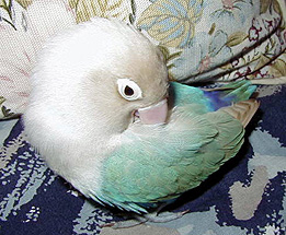 �����A���߂������[��B�i�C�W�C�W�B�B�j