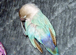 �����`�A���������������I