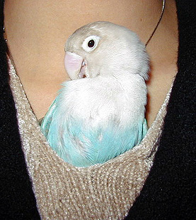 �������́A��������ԁ�