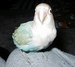 [ƗVт́[AAĂā`I