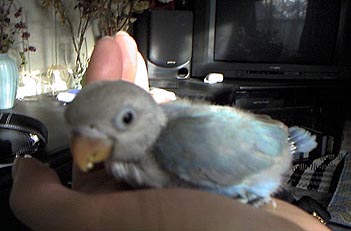 ���������A���������I