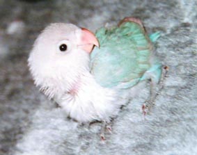 ���������Ȃ����ł���I�H