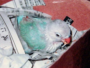 ���͂�A�܂��Ȃ����Ȃ��E�E�E�H