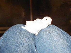 ������ҋ�����݂����Ȃ́B�B�B�ӂ����B�B�B