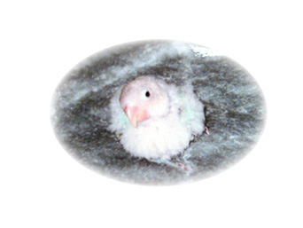 ��낿���ˁI�����Ƃ��ƁE�E�E