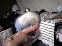 �o�����񂾂���I