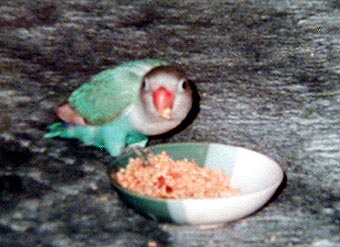 �͂��I�I�܂��A�H�ׂ��Ⴂ���Ȃ������H�H�H