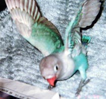 ��������Ĕ�Ԃ񂾂�˂��I