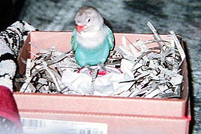 ���̏オ�������������āA�E�g�E�g�E�E�E