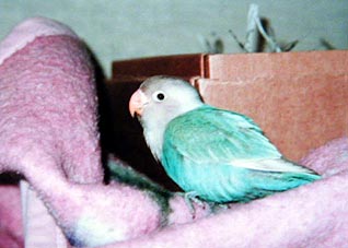 ����ς肱�����������񂾂���B�B