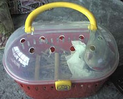 �􂨂��o�����A�����o�����A�����ꂵ���ȁ`��