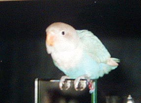 �߂܂�����A���񂶂Ⴄ����ˁ`