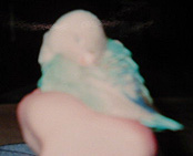 ���`��A������ƐQ�ɂ����Ȃ��E�E�E