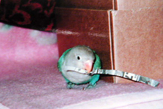 �܂܁A���a�������߂łƁI