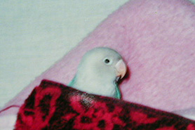 ����������A�₟�����[