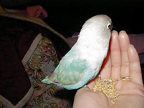 �܂܂Ƃ�������ɐH�ׂ�񂾂���B