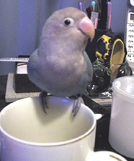 ������ԁA�����Əo������I