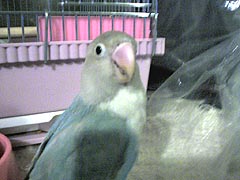 ���[�A����|�����I����Ȃ�����I�I