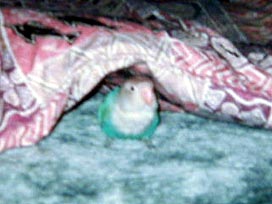 �͂��I�������Ɓ[�����Ƃ��s���ȂȂ�������I