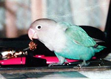 ���x�͂܂܂����ׁH�H