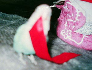 �܂܁A�ǁ[�����