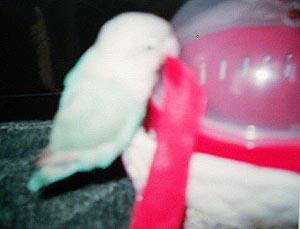 �����ɂ͋��Ȃ��Ȃ��E�E�E