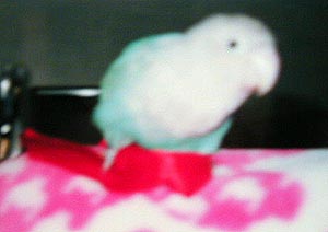 ���Ɓ[����񋏂Ȃ������̂��B�B