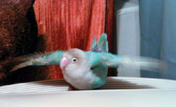 �������������������E�E�E�E�E