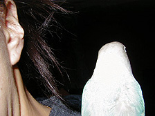 ����͂������̉H����Ȃ��̂�����E�E�E�H