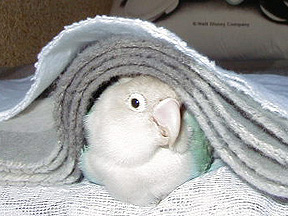 �܂܁A�����������ɗ��ĂˁI