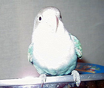 �ق�ق�A���L���~���Ă�����[