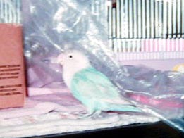 �����āA���蔢�Ƃ����Ⴄ�񂾂��[��I