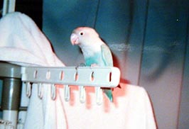 �͂��I��������������I���[��E�E�E�E�E�܂����Ȃ��E�E�E�H�H