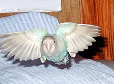 �܂܁`�A���s����`�I