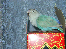 ����A������ƌ��������킟�B�B