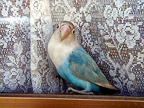 �܂܁A�݂��[�������I