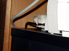 ���[��A�s�J�s�J�Ȃ́A�o�Ă��Ȃ����`