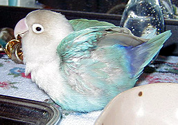 ���͂܂��Ȃ񂾂��ǂˁE�E�E�������������������E�E�E