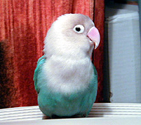 �����Ă��`�A���������Ȃ��񂾂���`�B�B�B