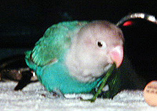 ��H�H�H�ق���񑐂Ȃ��Ȃ�������������`��I